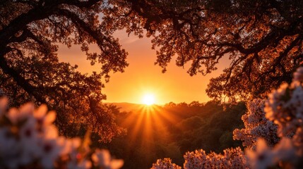 Golden sunset through colorful trees and blossoms.