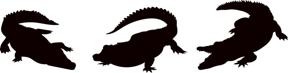 crocodile silhouette, icon, vector