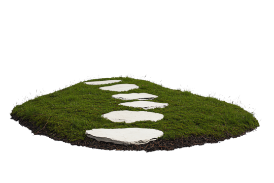 Stepping stones arranged in a curved path on a grassy patch.