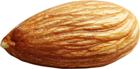 Close-up of a Single Almond
