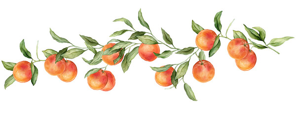 Grapefruit big Branch. Hand drawn watercolor illustration of orange red tropical citrus Food on white isolated background. Drawing of grapefruit tree with green leaves. Sketch of juicy for menu.