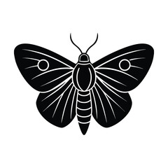 Elegant black and white moth illustration with detailed wing pattern isolated on white background