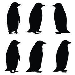 Naklejka premium cute penguin silhouette vector design illustration