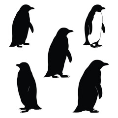 Naklejka premium cute penguin silhouette vector design illustration