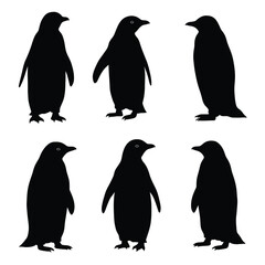 Naklejka premium cute penguin silhouette vector design illustration