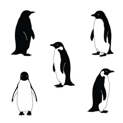 Obraz premium cute penguin silhouette vector design illustration