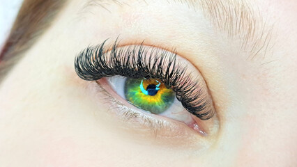 Obraz premium Close up of eye with eyelash extensions ,beauty salon treatment
