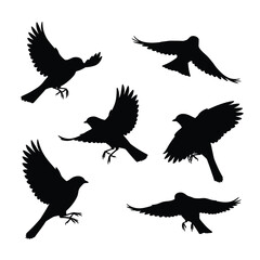 Swallows flying silhouette bundle design. Wild Swallows vector design on a white background. Beautiful bird flying silhouette set vector. small bird in different positions silhouette collection.