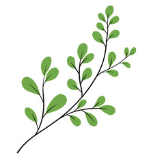 green tree with leaves