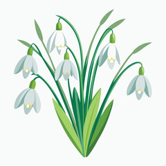 spring snowdrop flowers
