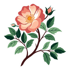 vector illustration of a flower