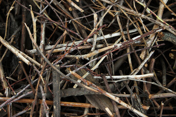 Texture, Background, firewood for barbecue