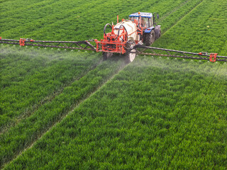 Fototapeta premium Close-up of a farmer spraying crop field with red machinery sprayer. Aerial spraying crops