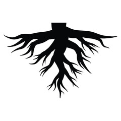 Black roots, tap root silhouette vector