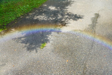 地面に映る虹。真夏の晴れた日に濡れた地面にうっすらと映る虹。