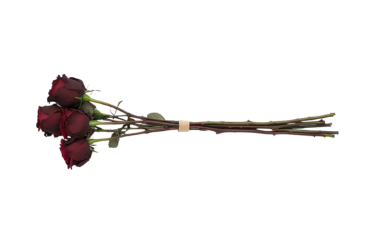 A small bouquet of three dark red roses with long stems held together by a band.