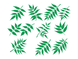 Obraz premium Green, black Leaf Silhouettes Pattern for Design, green leaves, leaf silhouettes, nature pattern, plant silhouettes, foliage, botanical illustration, design elements, background, pattern design, vecto