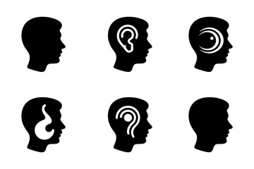 Human head ear anatomy medical vector illustration