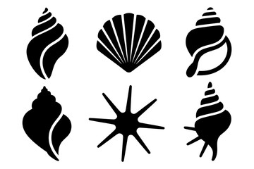 Seashells and starfish vector illustration design