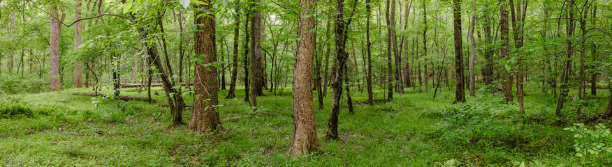 Pocahontas State Park