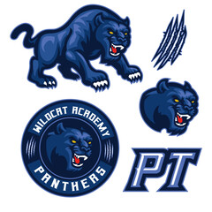 Panther Mascot Logo  Set  Sports Team Emblem Collection