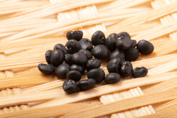 ［野菜の種］アスパラガス（品種　メリーワシントン）