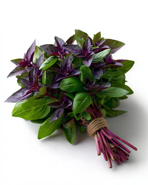 purple basil (reyhan) bunch isolated on white, fresh look, ultra realistic,


