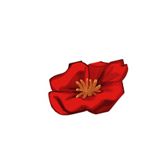 doodle red plum flower isolated on white	