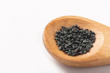 ［野菜の種］モロヘイヤ