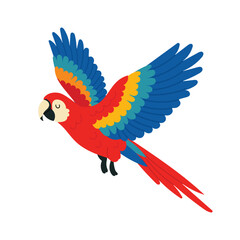 Fototapeta premium Ara macaws. Colorful parrot flying illustration. Tropical exotic animal isolated on white background.