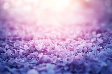 A soft focus of purple petals on the ground.