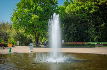 京都府立植物園の噴水です。