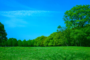 緑の公園