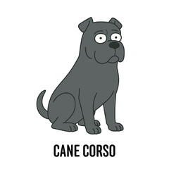 Vector Cartoon Character Illustration Cane Corso Dog Breed