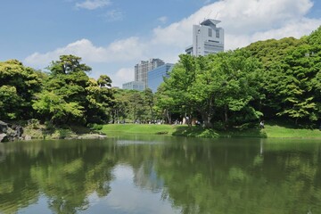 日本庭園の風景