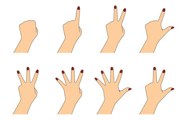 Hand Gesture Vector Set - Counting Fingers and Basic Signs.