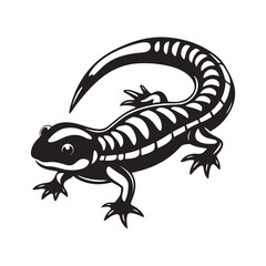 Fototapeta premium tiger salamander vector art illustration