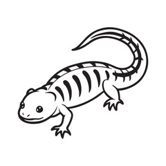 Naklejka premium tiger salamander vector art illustration