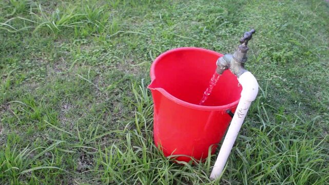 El chorro de agua llena el balde rojo sobre la hierba verde, el hombre con la mano cierra el grifo para evitar el derroche del agua potable.