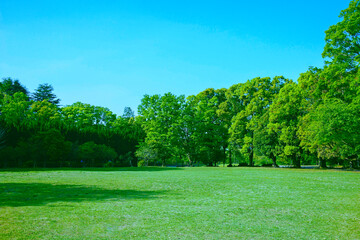 緑の公園