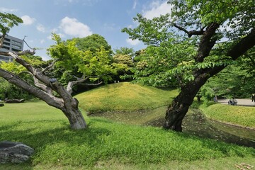 庭園の風景