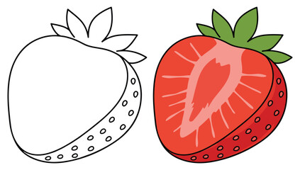 Half Strawberry Fruits Line Art Vector Outline Illustration Black and White with Coloring Sample
