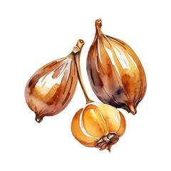 Roasted coffee beans, set of pistachio nuts white background 