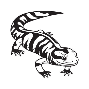 black and white salamander drawing clip art preview