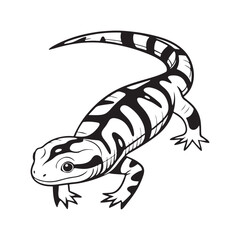 Fototapeta premium tiger salamander vector art illustration