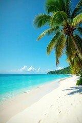 White sand, clear blue water, palm trees sway, view, bright