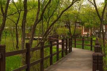Traditional wooden walkway and hanok houses, natural green tones, tranquil spring landscape in the Eunpyeong Hanok Village, Seoul, South Korea