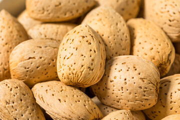 Organic Raw Almond Nuts