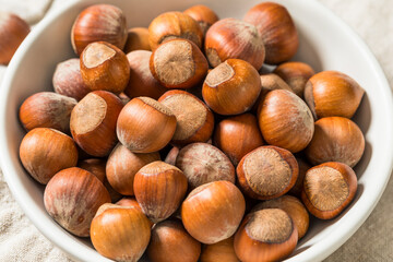 Organic Raw Dry Hazelnuts