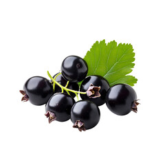 Blackcurrants fresh fruit bunch green leaf dark background